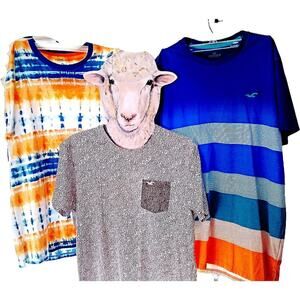 Back to School Special! Three (3) Hollister Adult Size Small T Shirts Boys Large